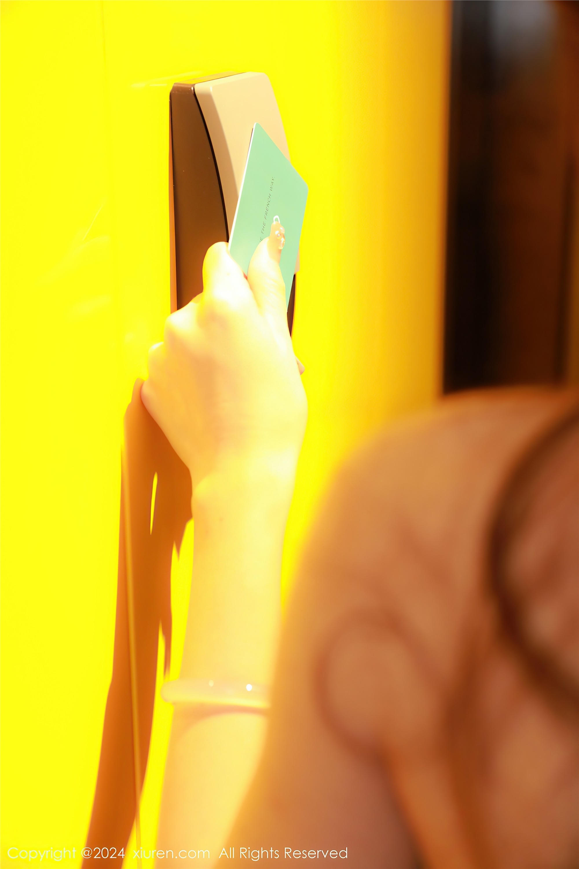 Xiuren秀人网 2024.02.26 NO.8140 林幼一